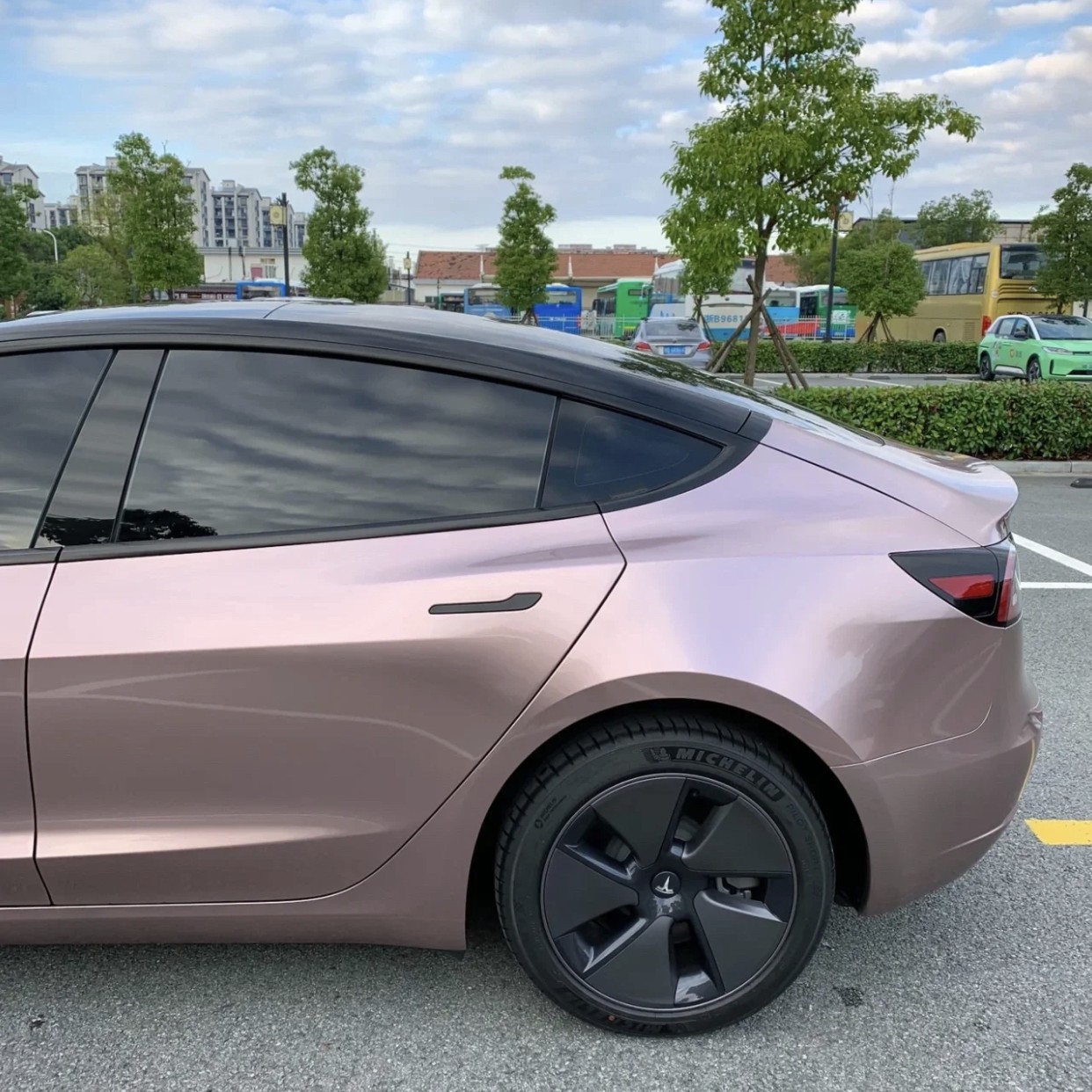 Ravoony Plus Glossy Frozen Berry Wrap Tesla Model 3 Wrap 