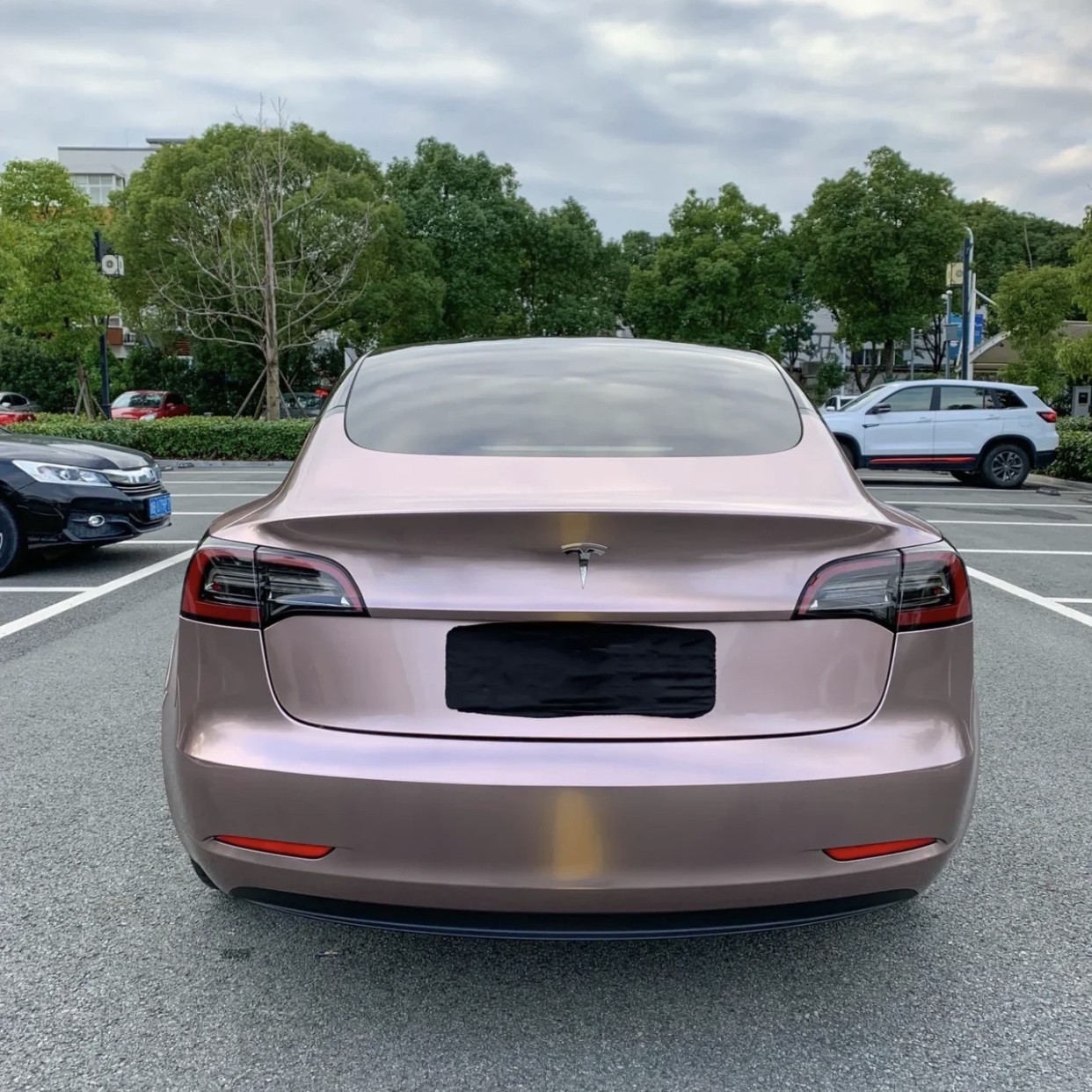 Ravoony Plus Glossy Frozen Berry Wrap Tesla Model 3 Wrap 