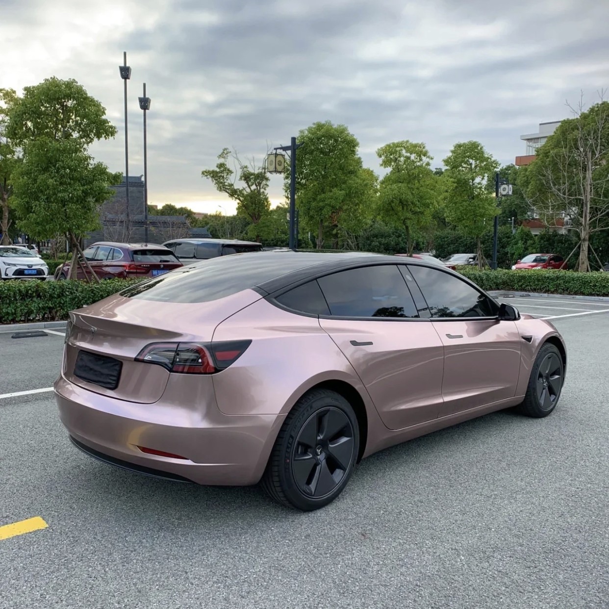 Ravoony Plus Glossy Frozen Berry Wrap Tesla Model 3 Wrap 