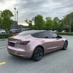 Ravoony Plus Glossy Frozen Berry Wrap Tesla Model 3 Wrap 