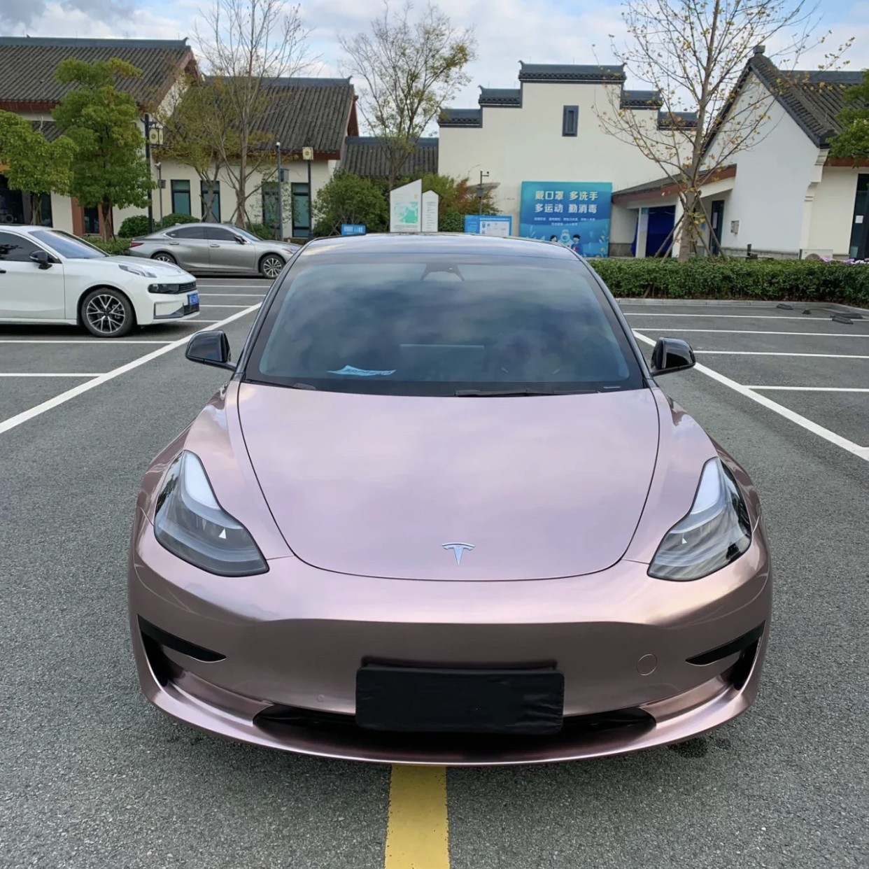 Ravoony Plus Glossy Frozen Berry Wrap Tesla Model 3 Wrap 
