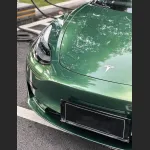 Ravoony Plus Metal Sonoma Green Car Vinyl Wrap Tesla Model 3 Wrap