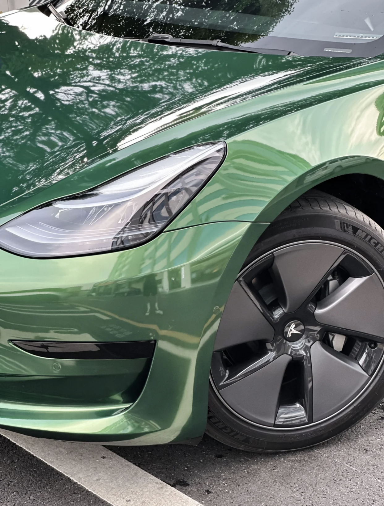 Ravoony Plus Metal Sonoma Green Car Vinyl Wrap Tesla Model 3 Wrap