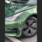 Ravoony Plus Metal Sonoma Green Car Vinyl Wrap Tesla Model 3 Wrap