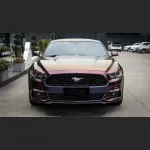 Ravoony Plus Gloss Flowing Phantom Purple Chameleon Wrap Mustang Wrap