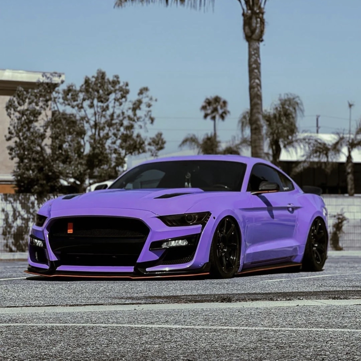  Ravoony Plus Glossy Lavender Purple Car Wrap Purple Wrapped Mustang