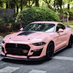  Ravoony Plus Glossy Crystal Peach Pink Car Vinyl Wrap Ford Mustang Wrap