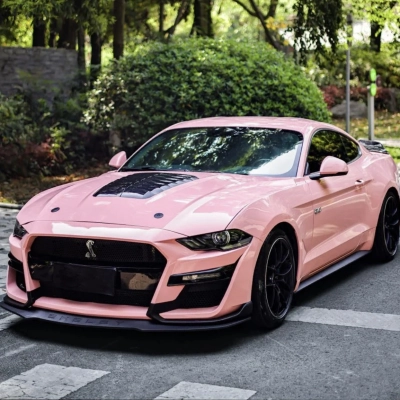  Ravoony Plus Glossy Crystal Peach Pink Car Vinyl Wrap Ford Mustang Wrap 02