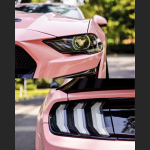  Ravoony Plus Glossy Crystal Peach Pink Car Vinyl Wrap Ford Mustang Wrap