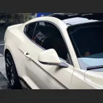 Ravoony Plus Khaki Milan Car Vinyl Wrap Ford Mustang Wrap