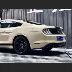 Ravoony Plus Khaki Milan Car Vinyl Wrap Ford Mustang Wrap