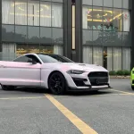 Ravoony Plus PET Flower Pink Car Wrap Mustang Wrap