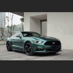 Ravoony Plus Pure Metal Emerald Green Car Wrap Mustang Wrap
