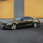 Ravoony Plus Pure Metal Gold Brown Car Wrap