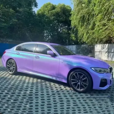 Ravoony Twin Candy Purple Green Car Wrap