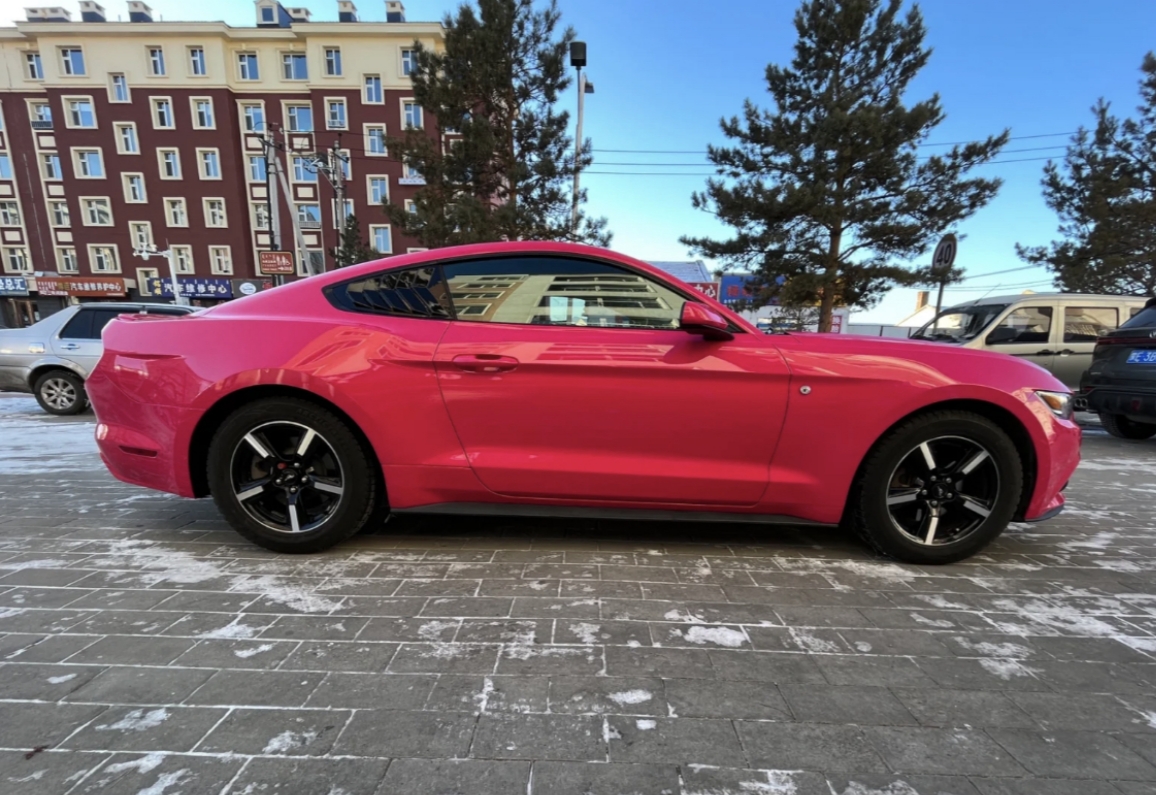 Ravoony Plus PET Gloss Beets Purple Vinyl Car Wrap Ford Mustang Wrap