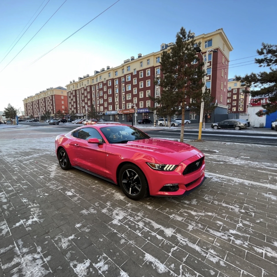 Ravoony Plus PET Gloss Beets Purple Vinyl Car Wrap Ford Mustang Wrap