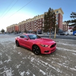 Ravoony Plus Gloss Beets Purple Vinyl Car Wrap Ford Mustang Wrap