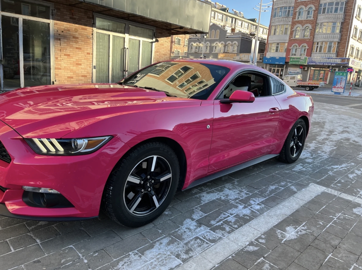 Ravoony Plus PET Gloss Beets Purple Vinyl Car Wrap Ford Mustang Wrap