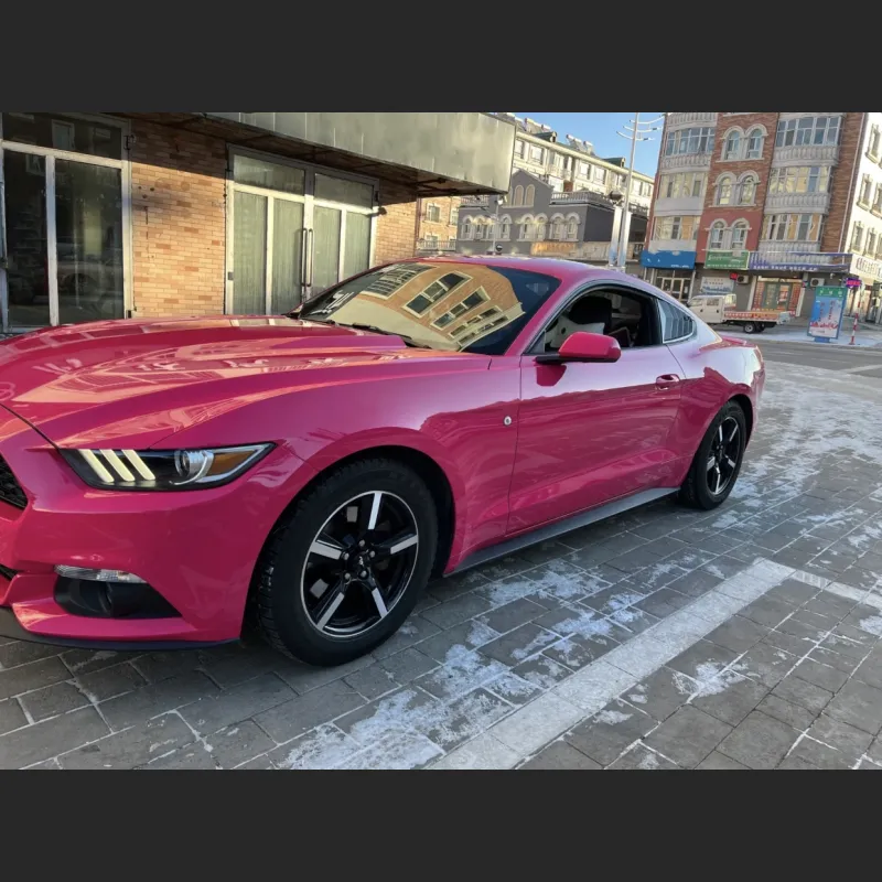 Ravoony Plus Gloss Beets Purple Vinyl Car Wrap Ford Mustang Wrap