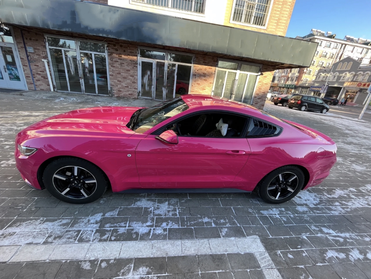 Ravoony Plus PET Gloss Beets Purple Vinyl Car Wrap Ford Mustang Wrap