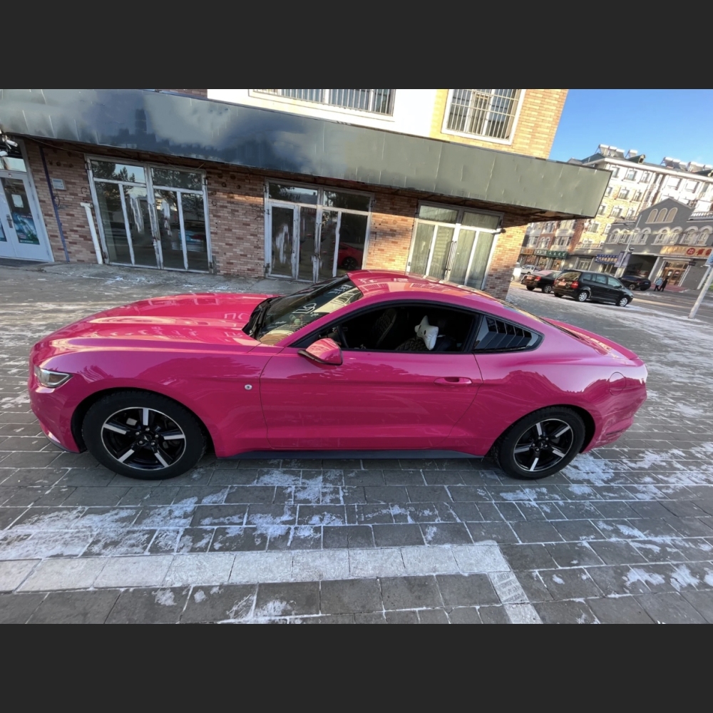 Ravoony Plus Gloss Beets Purple Vinyl Car Wrap Ford Mustang Wrap