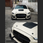 Ravoony Plus Ultimate Flat Khaki Milan Car Vinyl Wrap Ford Mustang Wrap