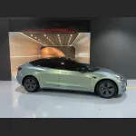  Ravoony Plus Twin Candy Green Gold Car Wrap