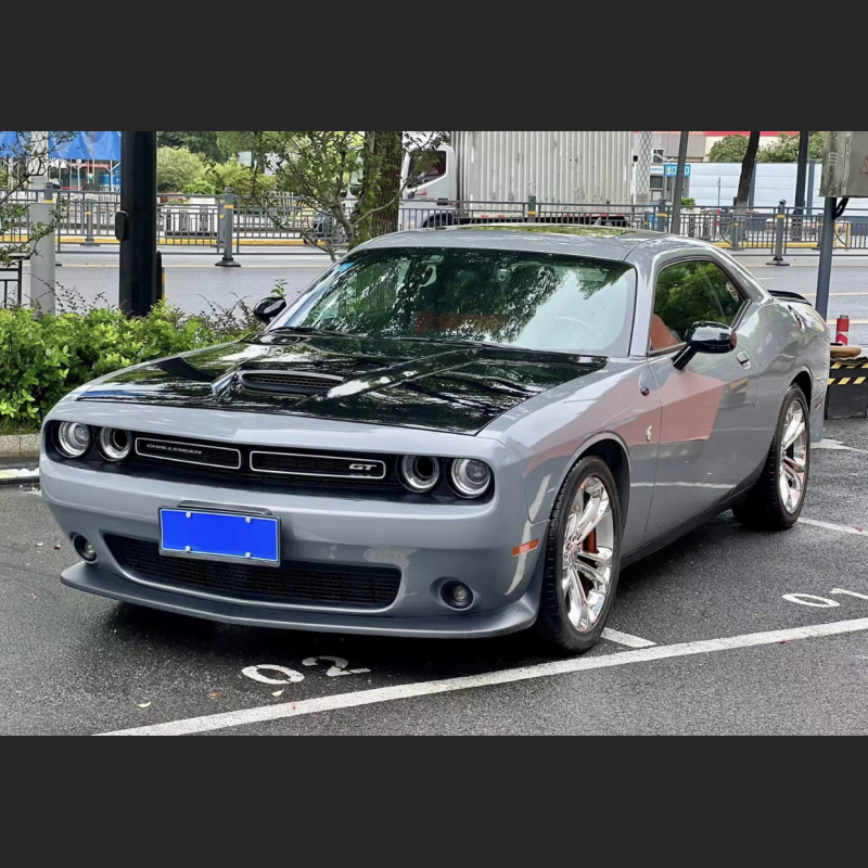 Ravoony Plus PET BMW Brooklyn Grey Vinyl Wrap Dodge Charger Wrap