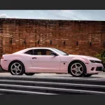 Ravoony Plus PET Flower Pink Car Wrap Chevrolet Camaro Wrap