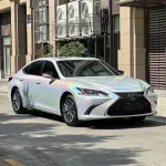 Ravoony Plus Glossy Laser White Car Vinyl Wrap