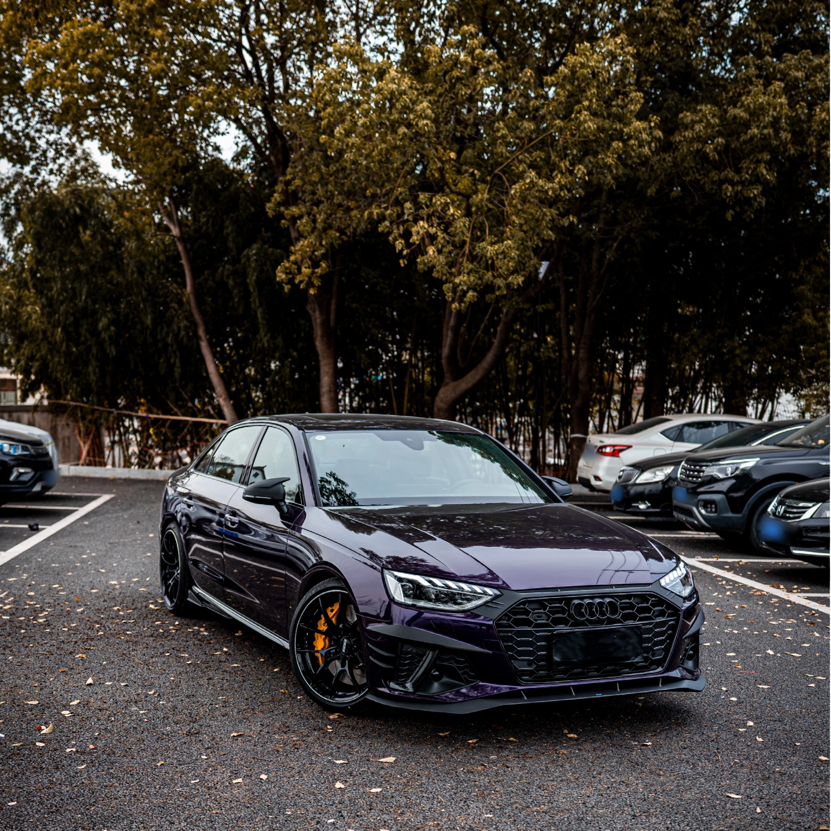 Ravoony Plus Audi Gloss Velvet Purple Car Vinyl Wrap