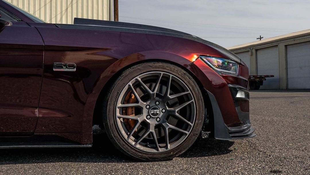 Ravoony Plus Gloss Black Rose Vinyl Wrap Mustang Vinyl Wrap