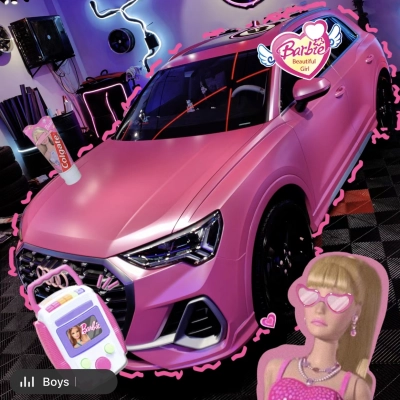Ravoony Plus Pure Metal Princess Pink Car Vinyl Wrap 02