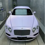 Ravoony Plus Ultra-Matte Violet Star Car Wrap