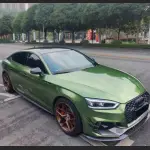 Ravoony Plus Metallic Mamba Green Car Vinyl Wrap Audi A5 Wrap
