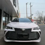 Ravoony Plus PET Flower Pink Car Wrap Toyota Avalon Wrap