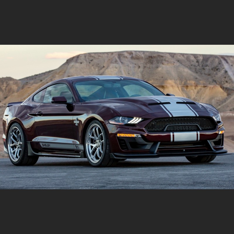 Ravoony Plus Gloss Black Rose Vinyl Wrap Mustang Vinyl Wrap