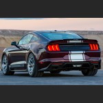 Ravoony Plus Gloss Black Rose Vinyl Wrap Mustang Vinyl Wrap