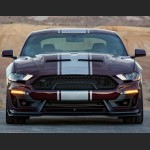 Ravoony Plus Gloss Black Rose Vinyl Wrap Mustang Vinyl Wrap