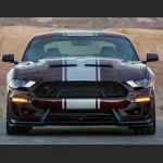 Ravoony Plus Gloss Black Rose Vinyl Wrap Mustang Vinyl Wrap