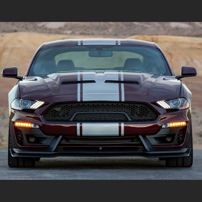 Ravoony Plus Gloss Black Rose Vinyl Wrap Mustang Vinyl Wrap