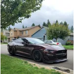 Ravoony Plus Gloss Black Rose Vinyl Wrap Mustang Vinyl Wrap