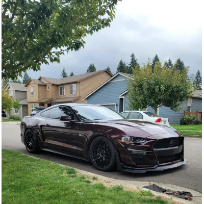 Ravoony Plus Gloss Black Rose Vinyl Wrap Mustang Vinyl Wrap 02