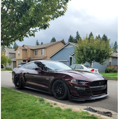 Ravoony Plus Gloss Black Rose Vinyl Wrap Mustang Vinyl Wrap 02