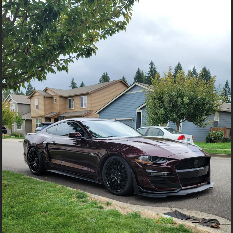 Ravoony Plus Gloss Black Rose Vinyl Wrap Mustang Vinyl Wrap