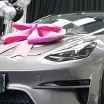 Ravoony Plus Metal Liquid Silver Car Vinyl Wrap Tesla Wrap