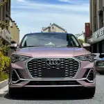 Ravoony Plus Glossy Frozen Berry Wrap Audi Q3 Wrap 