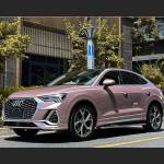 Ravoony Plus Glossy Frozen Berry Wrap Audi Q3 Wrap 