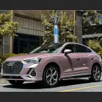 Ravoony Plus Glossy Frozen Berry Wrap Audi Q3 Wrap 